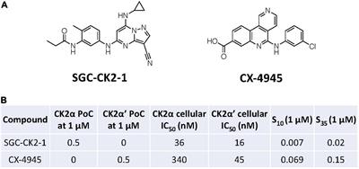 Evaluation of a Selective Chemical Probe Validates That CK2 Mediates Neuroinflammation in a Human Induced Pluripotent Stem Cell-Derived Microglial Model